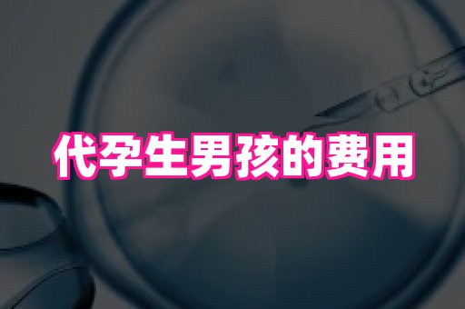 北京助孕网 1