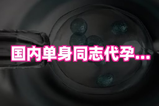 北京助孕网 4